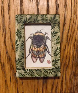 Bee (in green frame)