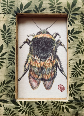 Bee (in green frame)