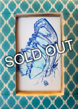 Butterfly (in aqua frame)