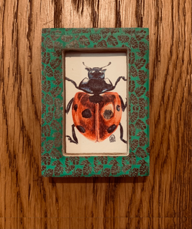 Ladybird (in green frame)