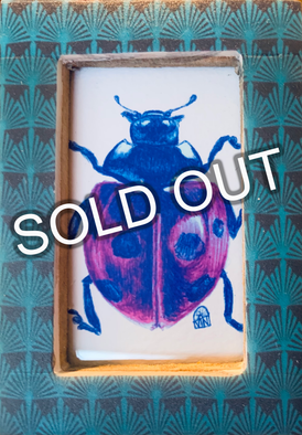 Ladybird (in aqua frame)
