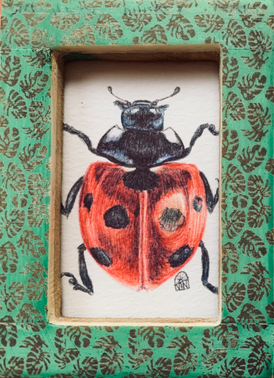 Ladybird (in green frame)