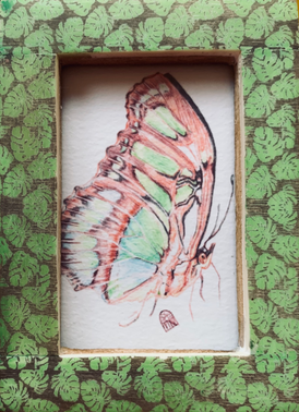 Butterfly (in green frame)