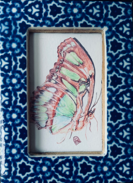 Butterfly (in blue frame)