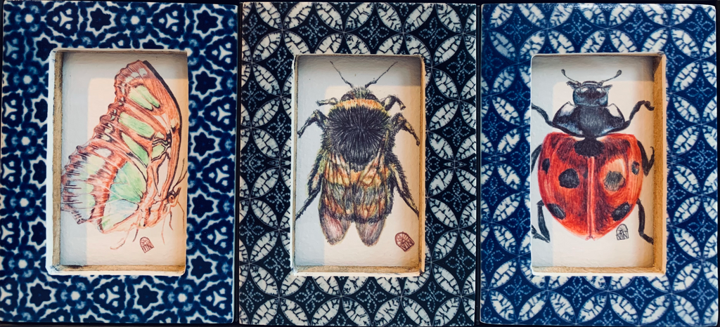 3 Insect collection (in blue frames)